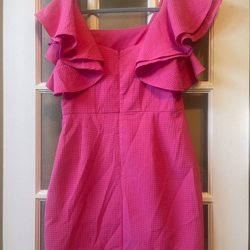 She + Sky Vibrant Pink Ruffle Mini Dress - Picture 3 of 3